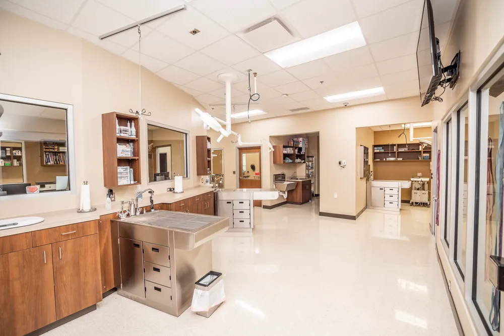 Finished treatment room in a medical clinic